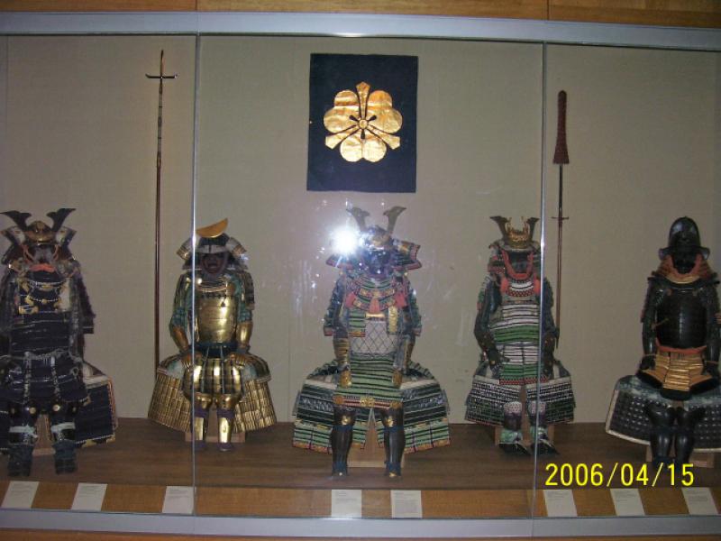 313575365-100_0423.jpg