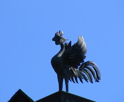 810224506-264-Non-Silver-Rooster.jpg