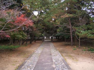 1025208648-DSCF1490.jpg