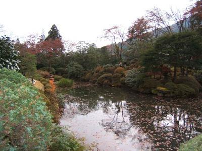 1353360137-DSCF1453.jpg