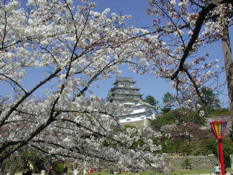 962422521-Himeji-4.jpg