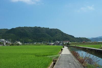 1048310997-Tsuruya-Castle-Mountain.jpg