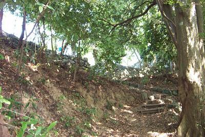 106787704-W.-wall-near-Kitanomaru.jpg