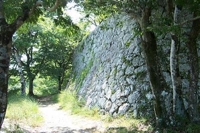 423926877-S.-Wall-of-Honmaru-Foundation.jpg