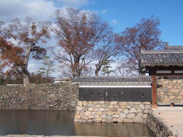 1692952772-DSCF4208.jpg
