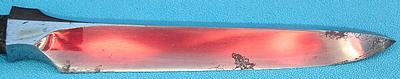 572000470-Palaquin-Yari-5.jpg